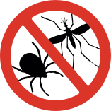 anti-insect